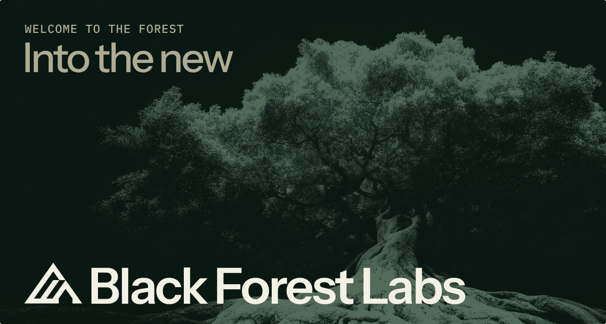 Black Forest Labs Image Generation showing Image Generation - Frontier AI lab behind FLUX
