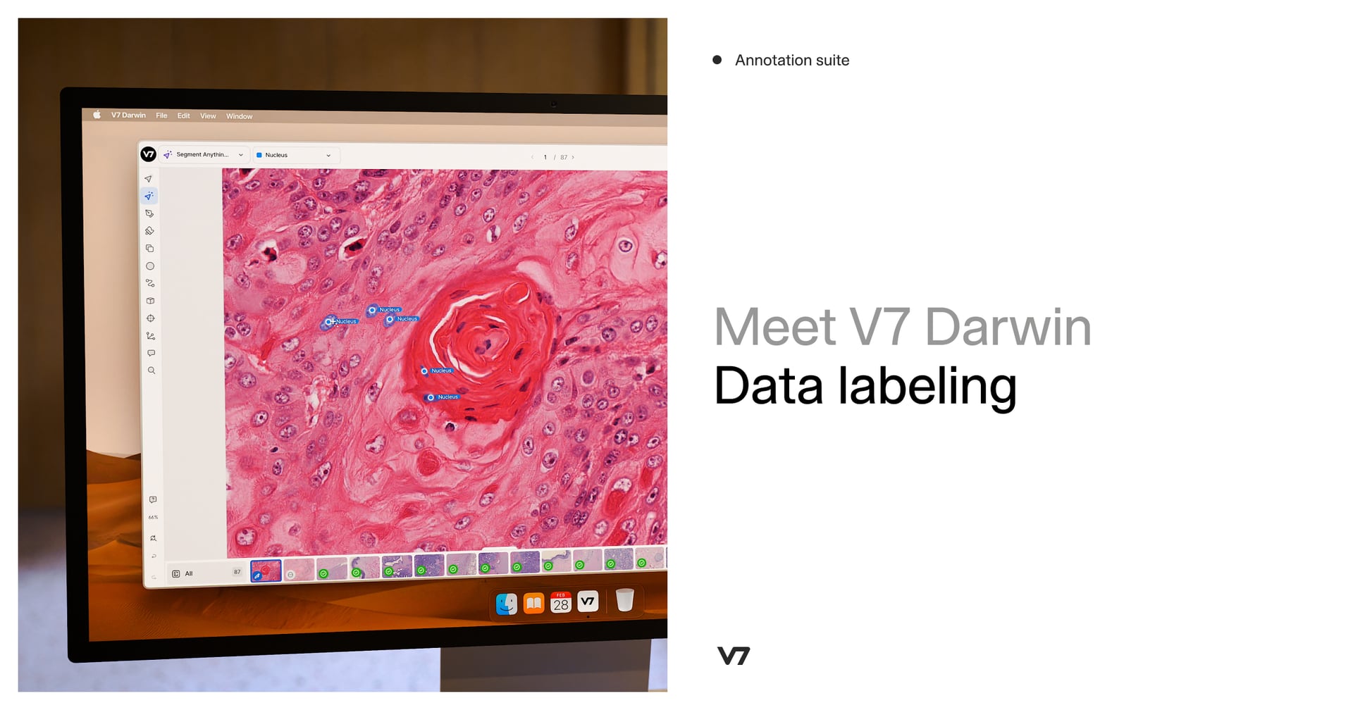 V7 Darwin Data Analytics showing Data Analytics - AI data labeling and ML training-data platform