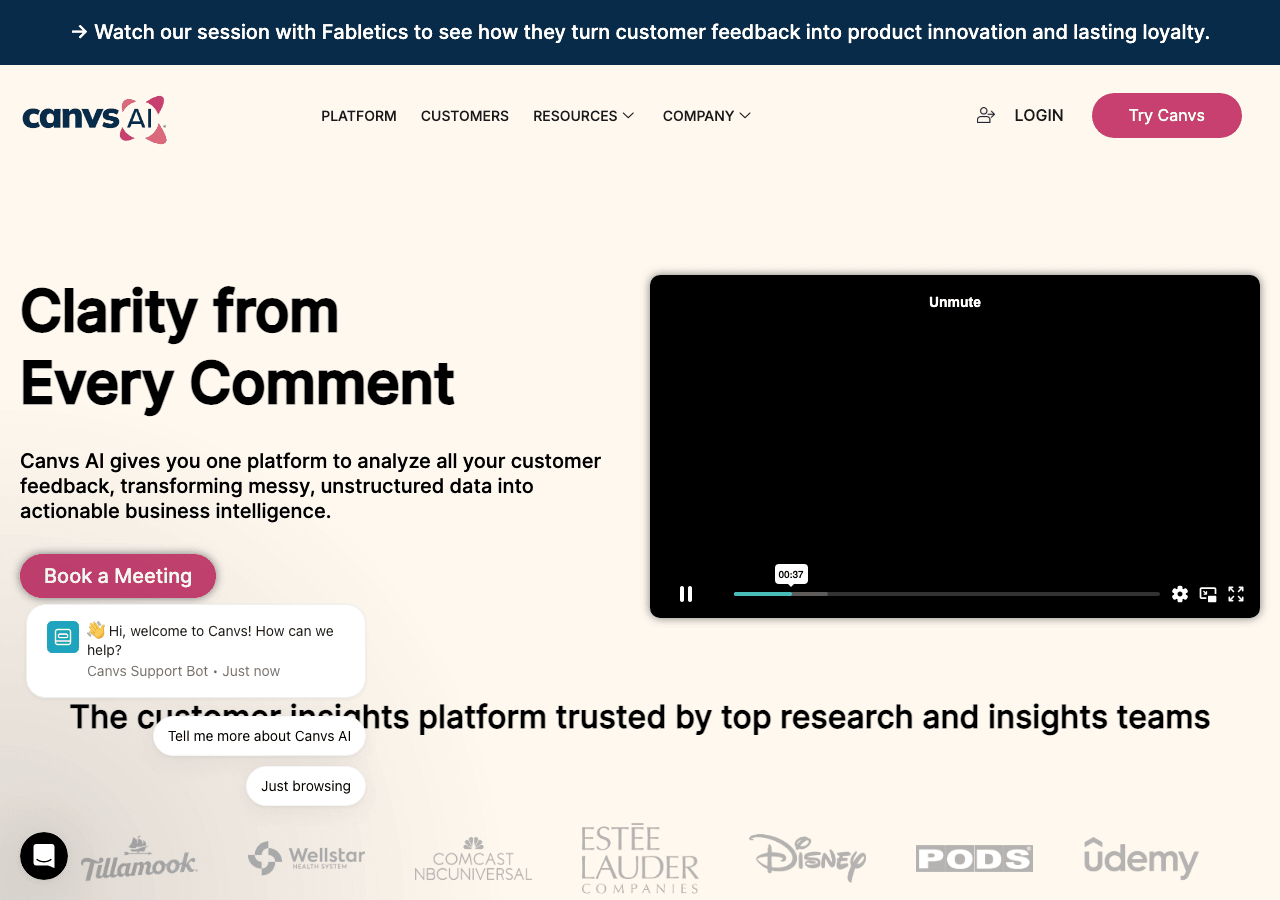Canvs AI Data Analytics showing Data Analytics - Turn Customer Feedback Into Confident Action