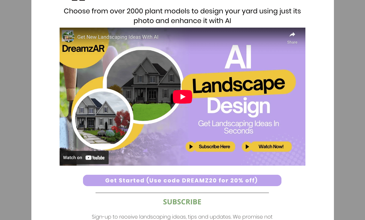 DreamzAR 3D Generation showing augmented reality - Bringing Dreams to Reality with Augmented Reality