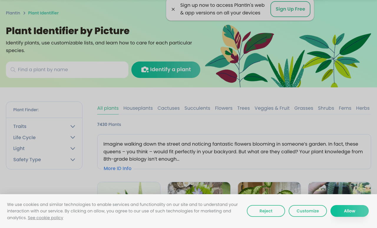PlantIn Search & Discovery showing Search & Discovery - Discover plant species with ease