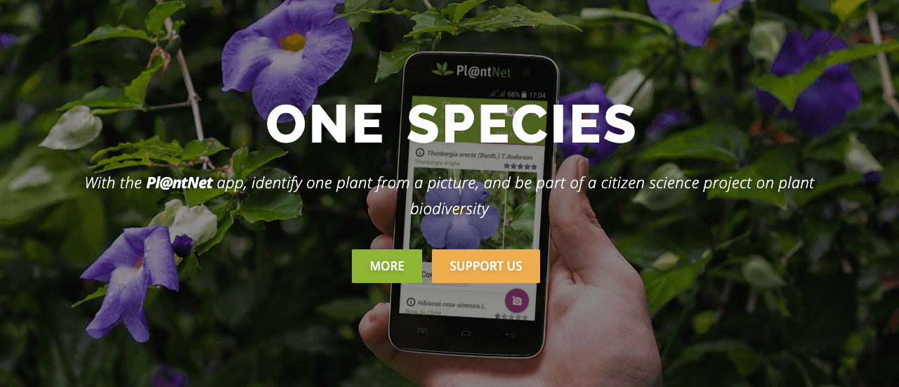 Pl@ntNet Search & Discovery showing plant identification - Explore, discover, protect