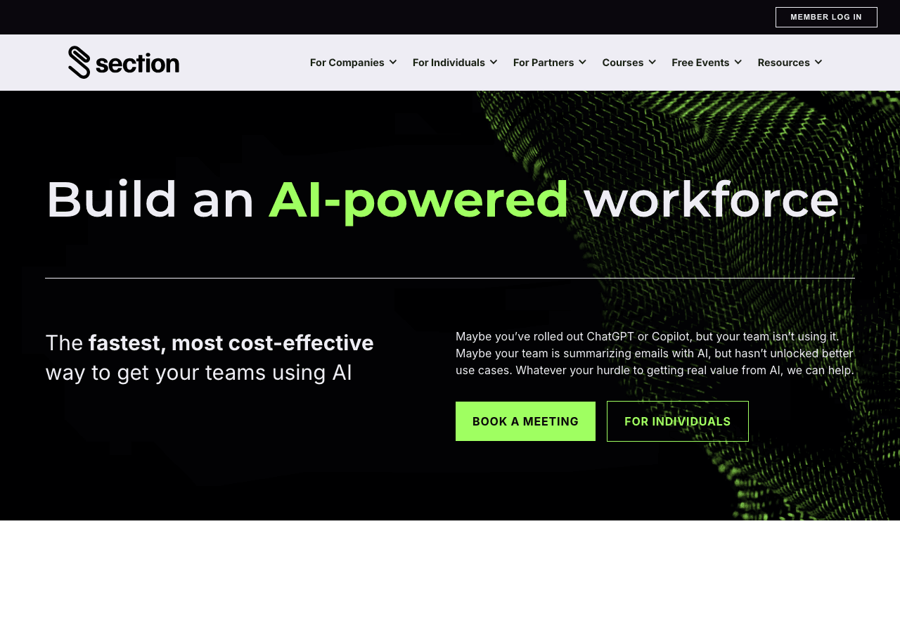 SectionAI Writing & Translation showing Writing & Translation - AI-powered upskilling for the next generation of business lea