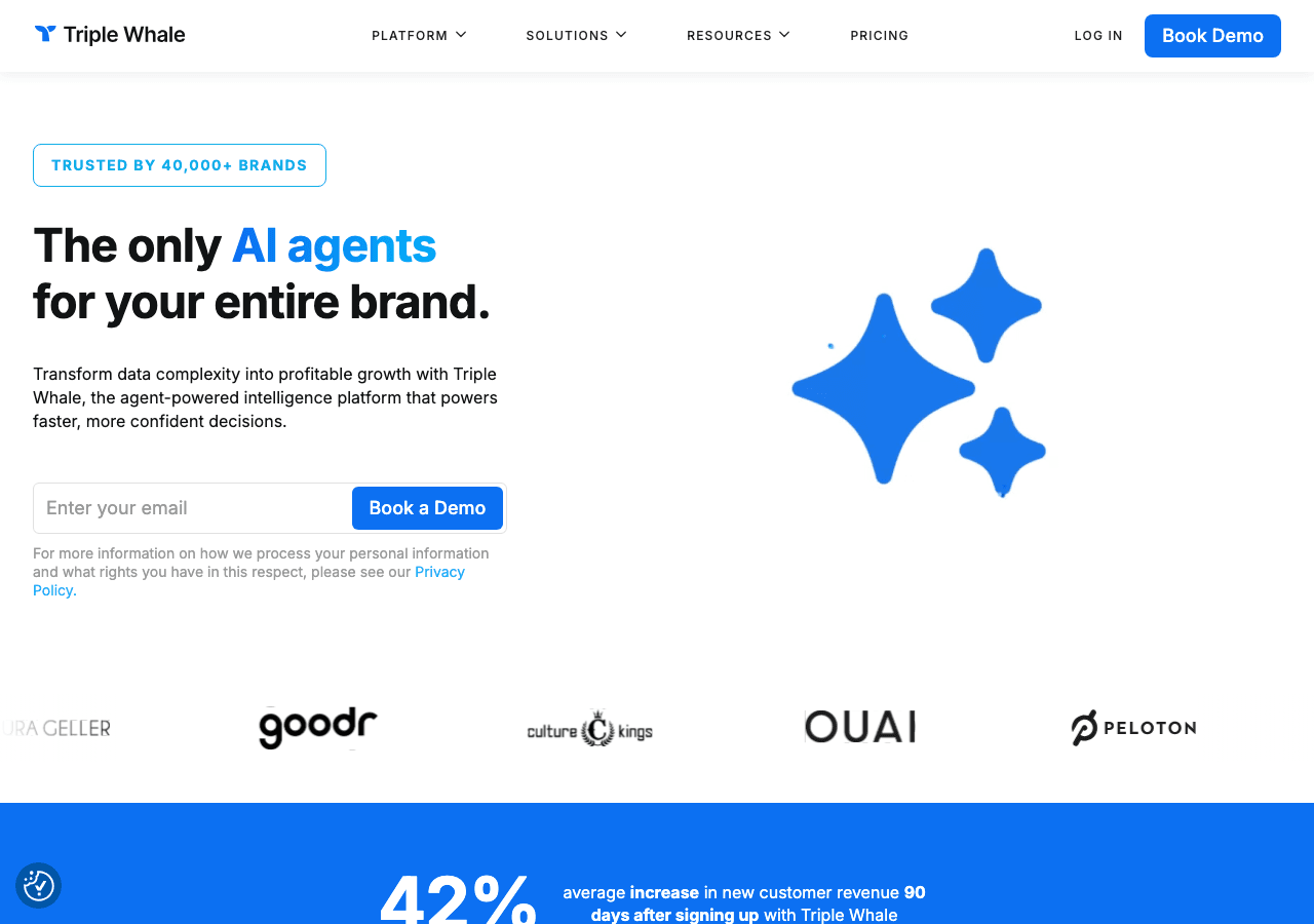 Triple Whale Data Analytics showing Data Analytics - Transform your data into profitability with agent-powered intelligence