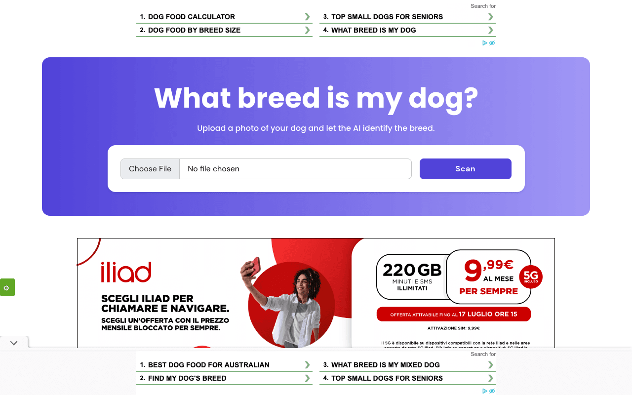 Dog Breed AI Search & Discovery showing Search & Discovery - Discover Your Dog's True Breed